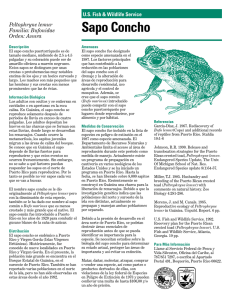 Sapo Fact Sheet - Puerto Rican Crested Toad Recovery Program