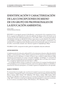 identificación y caracterización de las concepciones de