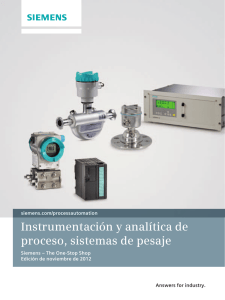 Instrumentación y analítica de proceso, sistemas de pesaje