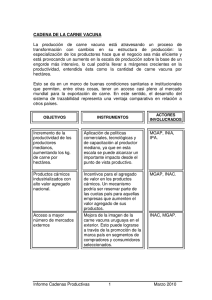 Informe Cadenas Productivas 1 Marzo 2010 CADENA DE