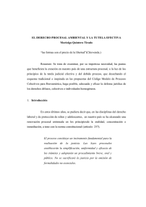 Derecho Procesal Ambiental. La Tutela Efectiva, Prof. Mariolga