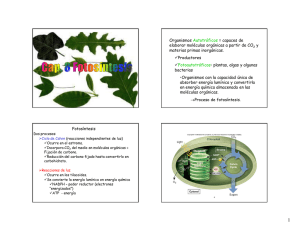 Organismos Autotróficos = capaces de elaborar - biol3101upr-rp-rr