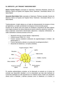 EL+ADIPOCITO+un órgano endocrino más.rtf