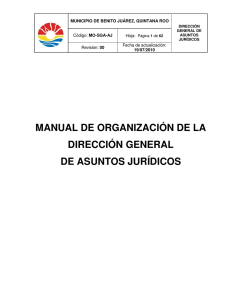 manual de organización de la dirección general de asuntos jurídicos
