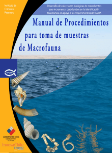 Documento PDF - Macrofauna Bentónica de Chile