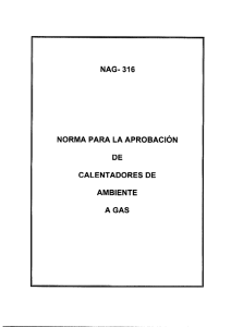 NAG- 316 NORMA PARA LA APROBACIÓN DE CALENTADORES
