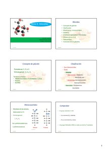 Diapositivas glucidos pdf