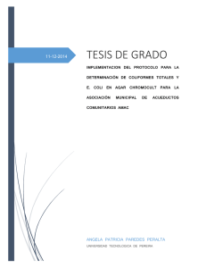 tesis de grado - Universidad Tecnológica de Pereira