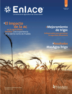 revista EnlACe - CIMMYT. Agricultura de Conservación