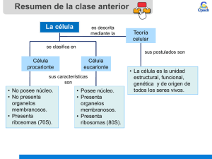 Diapositiva 1 - Colegio La Mision
