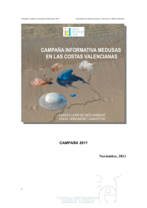Campaña informativa medusas en las costas valencianas