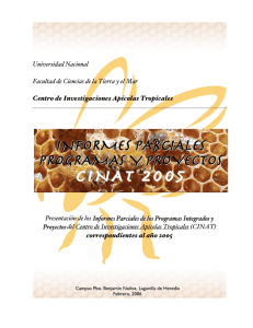 Informe Programas y Proyectos CINAT-2005