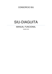 Manual de Usuario 1.13 PDF