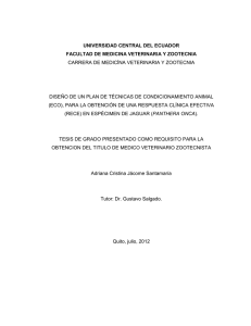 universidad central del ecuador facultad de medicina veterinaria y