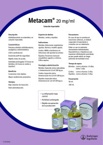 Metacam® 20 mg/ml