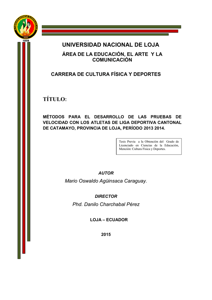 TESIS MARIO AGUINSACA - Repositorio Universidad Nacional