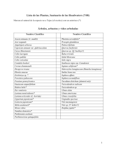 Lista de las plantas - Headwaters Coalition