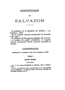 Capítulo 5 - Constitución del Salvador