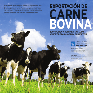 Exportación de carne bovina: el cumplimiento de medidas sanitarias