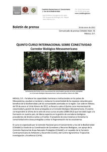 Quinto Curso Internacional sobre Conectividad Corredor
