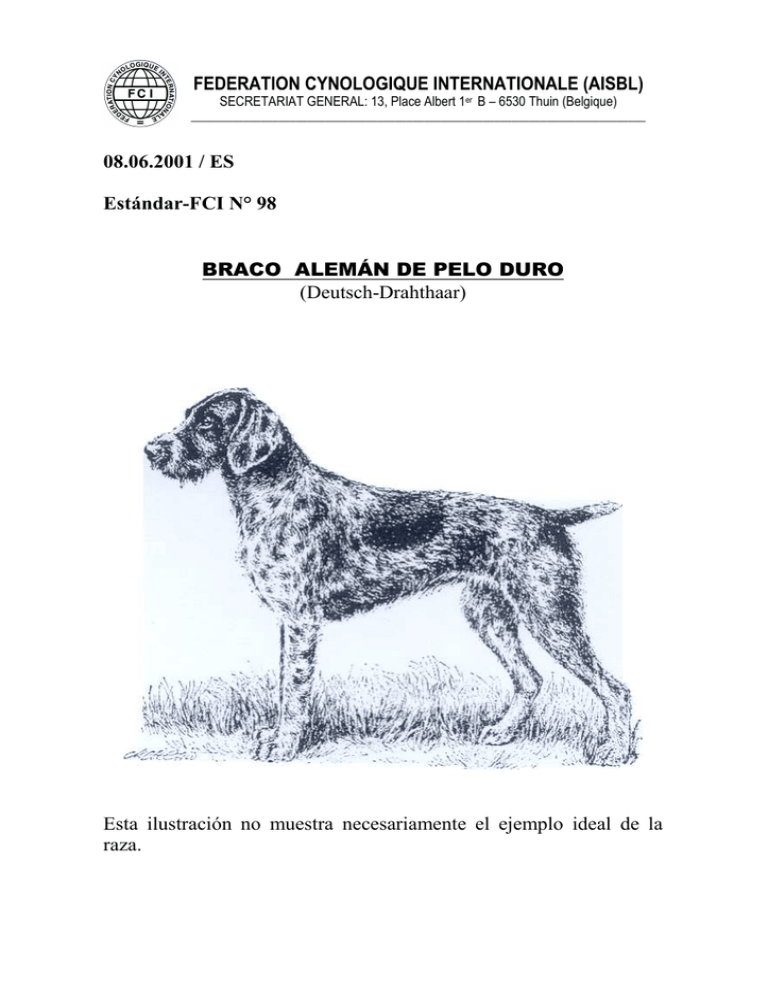 FCI Standard Fédération Cynologique Internationale