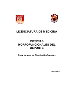 licenciatura de medicina ciencias morfofuncionales del deporte