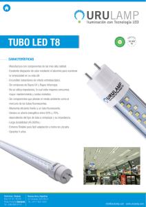 TUBO LED T8