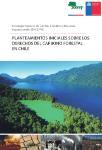 Derechos del Carbono Forestal - Redd