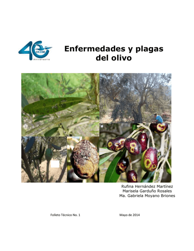 Enfermedades y plagas del olivo