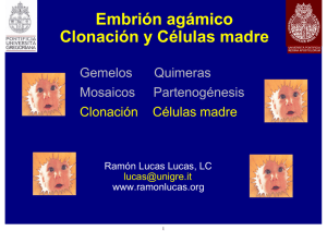 05 Embrion humano agamico clonacion celulas madre