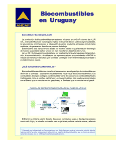 Biocombustibles en Uruguay