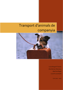 Transport d`animals de companyia