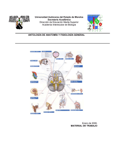 Antologia Anatomia Fisiol 5 de feb 2009