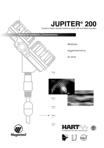 Jupiter 200 ES46-648 - Magnetrol International