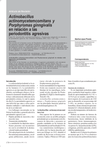 Actinobacillus actinomycetemcomitans y Porphyromas