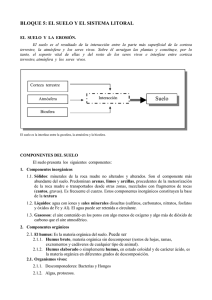 Bloque 5 El suelo