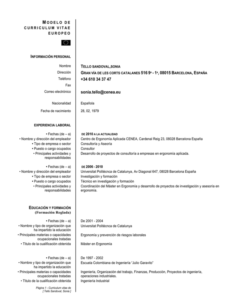 Modelo De Cv Europeo 6119