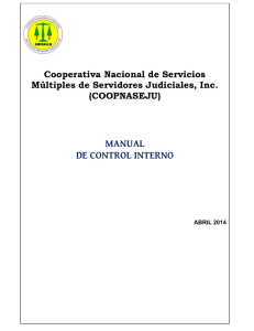 manual de control interno