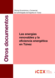 El sector de las Energías Renovables en Túnez