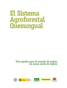 El Sistema Agroforestal Quesungual