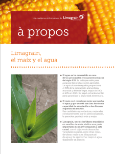 Limagrain, el maíz y el agua