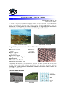 Geosintéticos en el Control de Erosión