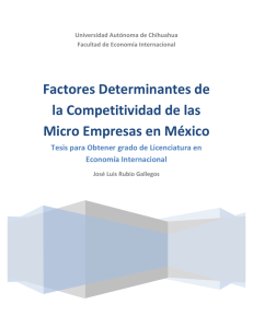 Factores Determinantes de la Competitividad de las Micro