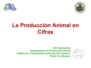 La Producción Animal en Cifras