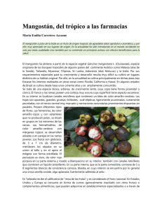 el mangostán - Bot Plus Web
