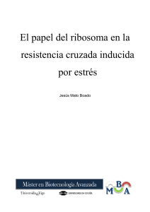 El papel del ribosoma en la resistencia cruzada - RUC