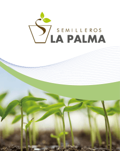 Catálogo Hortícolas - Semilleros la Palma