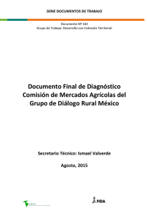 Documento Final de Diagnóstico Comisión de Mercados