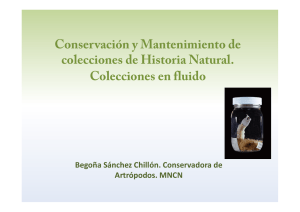 Conservación y Mantenimiento de colecciones de Historia Natural