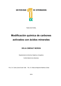 Modificación química de carbones activados con ácidos